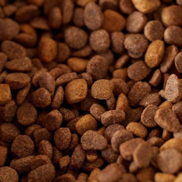 NutriPet Grain-Free Salmon Dog Food, 2 kg