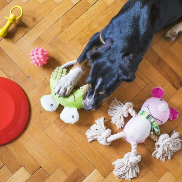 Tug & Chew Rope Toy Set, 3 Pieces