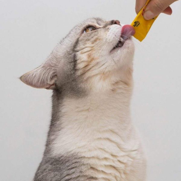 Whisker & Co. Creamy Cat Treats, 10 Tubes